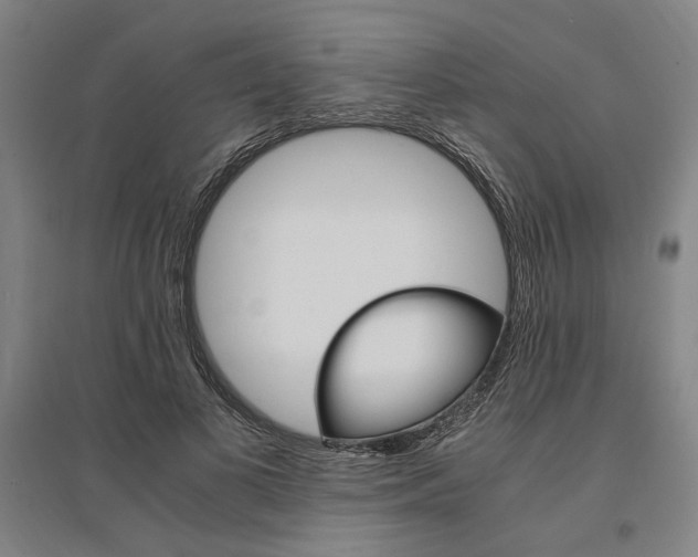 X0000095540693200712141024