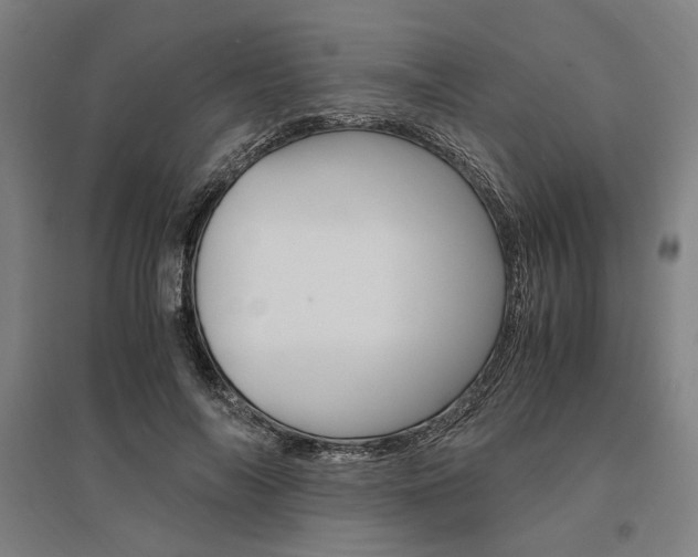 X0000095540694200712141024