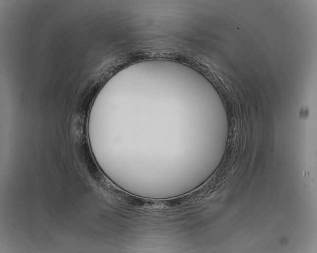 X0000095540695200712141024
