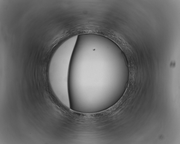 X0000095540696200712141024