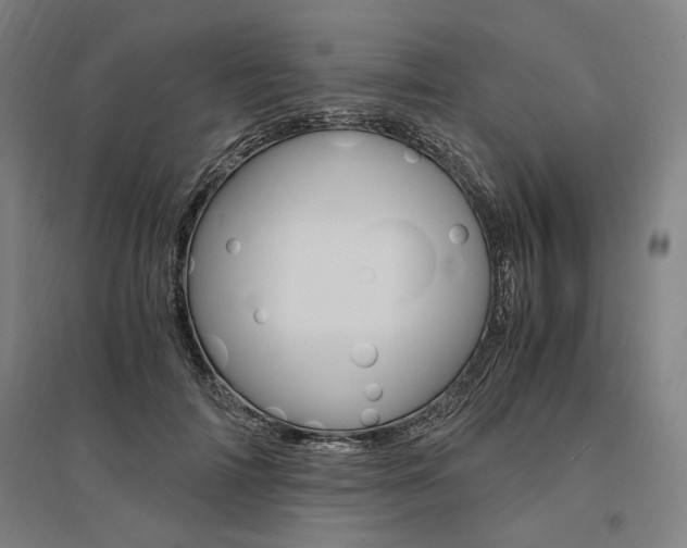 X0000095540698200712141024