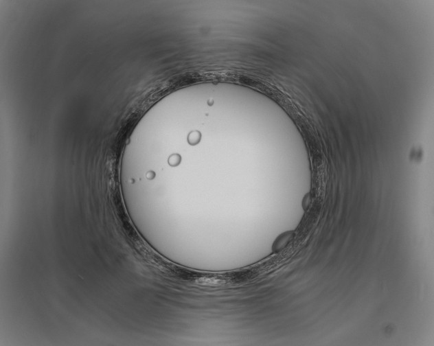 X0000095540699200712141024