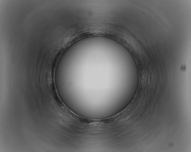 X0000095540700200712141024