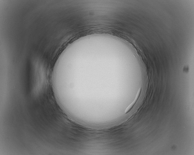 X0000095540701200712141024
