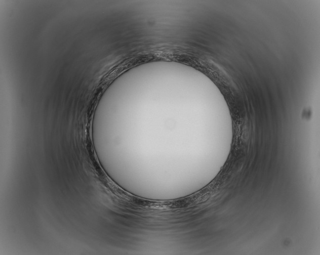 X0000095540702200712141024