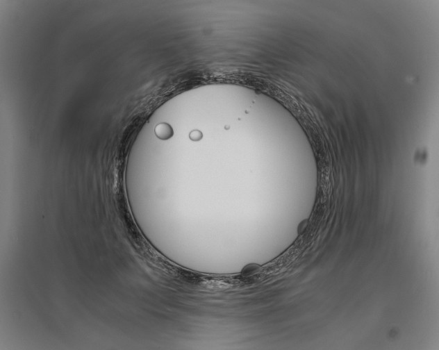 X0000095540703200712141024