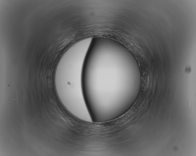 X0000095540704200712141024