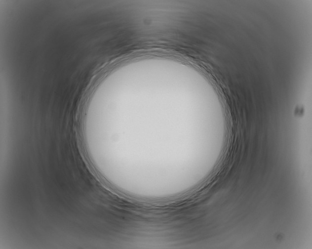 X0000095540705200712141024