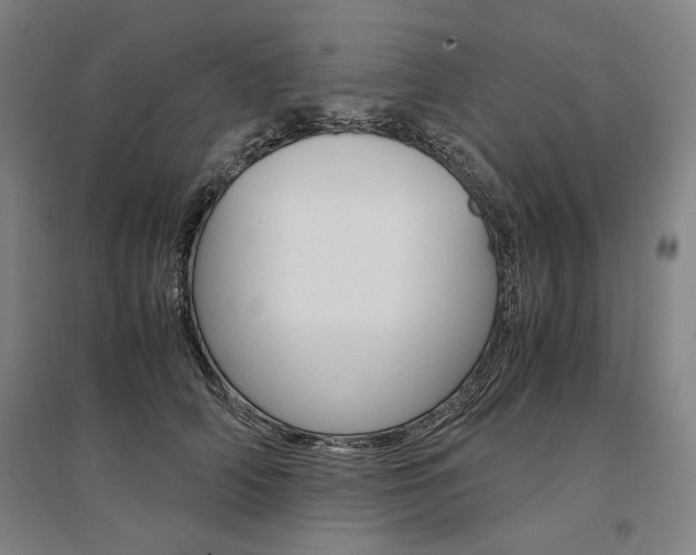X0000095540706200712141024