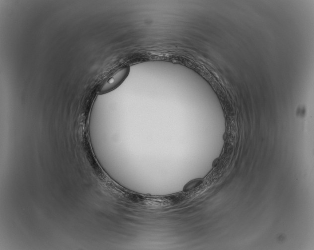 X0000095540707200712141024