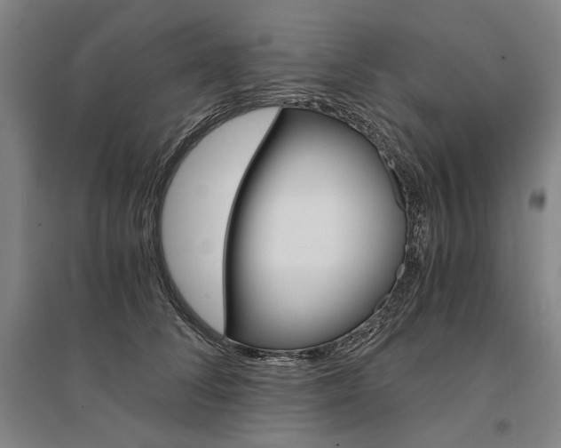 X0000095540708200712141024