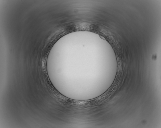 X0000095540709200712141024
