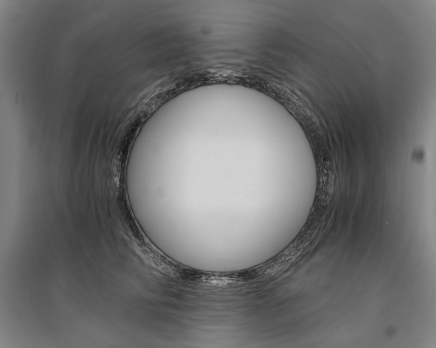 X0000095540710200712141024