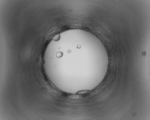 X0000095540711200712141024