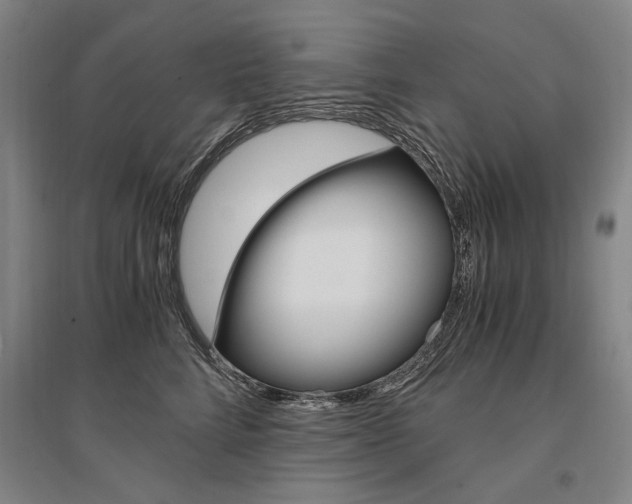 X0000095540712200712141024