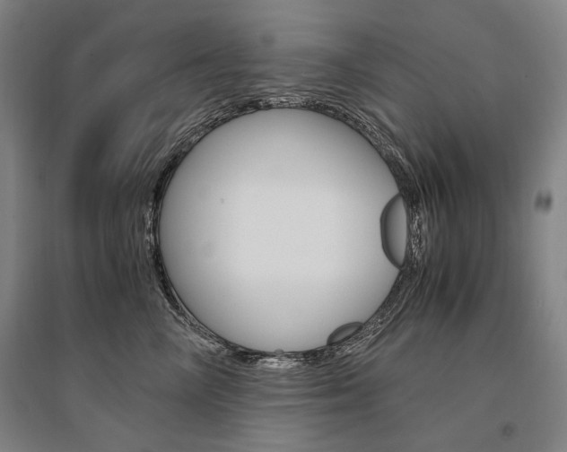 X0000095540714200712141024