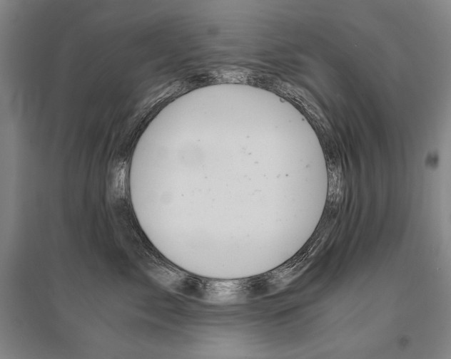 X0000095540717200712141024