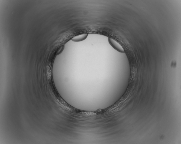 X0000095540719200712141024