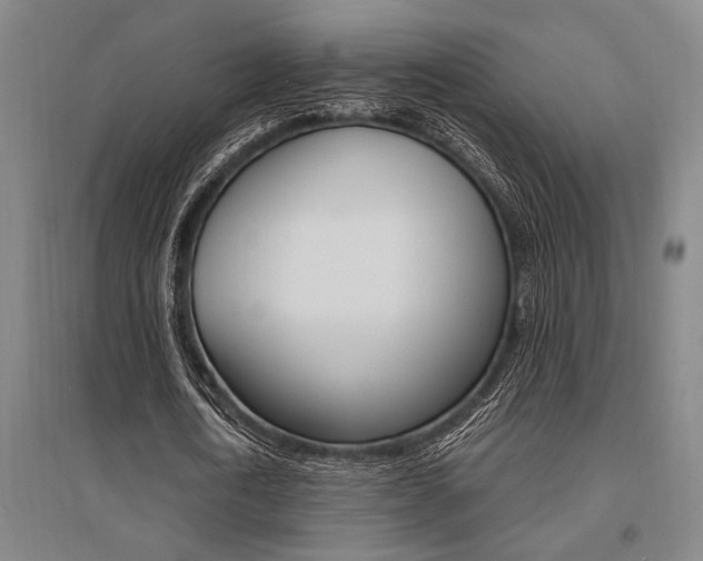 X0000095540722200712141023