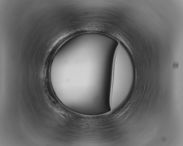 X0000095540723200712141023
