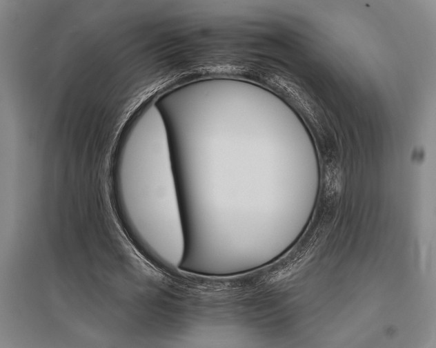 X0000095540725200712141023