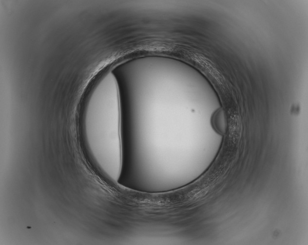 X0000095540727200712141023