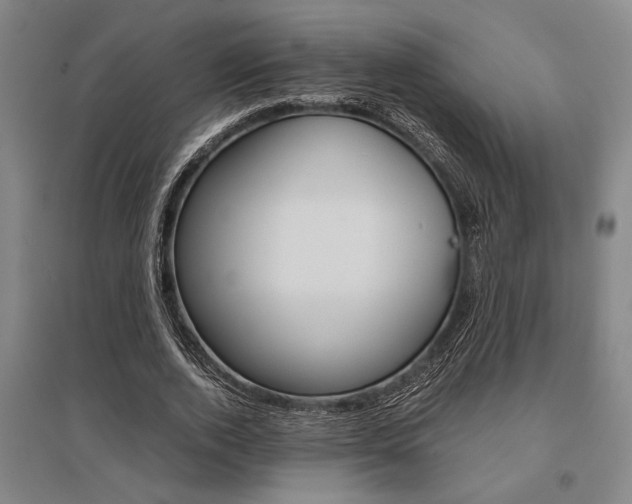 X0000095540728200712141023