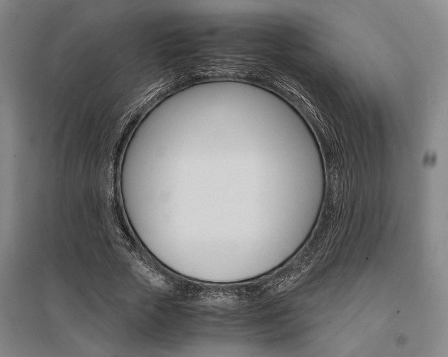 X0000095540729200712141023