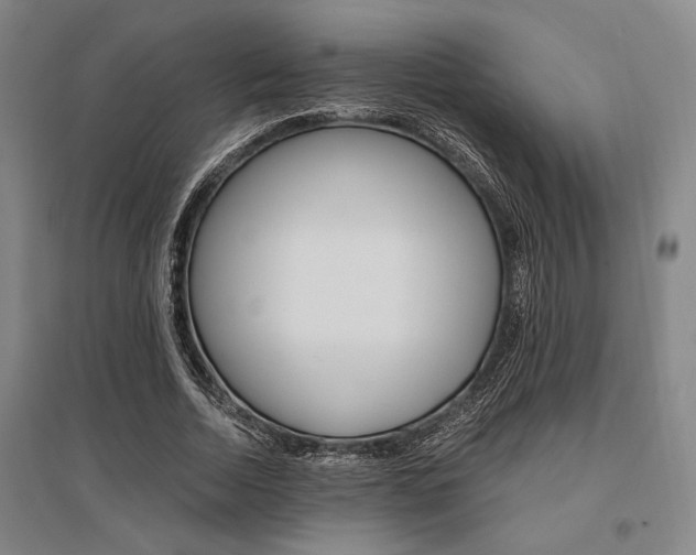 X0000095540730200712141023