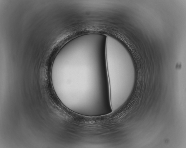 X0000095540731200712141023