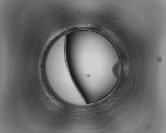 X0000095540732200712141023