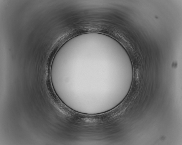 X0000095540733200712141023