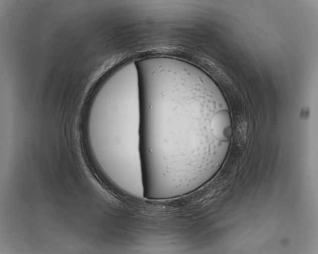 X0000095540734200712141023
