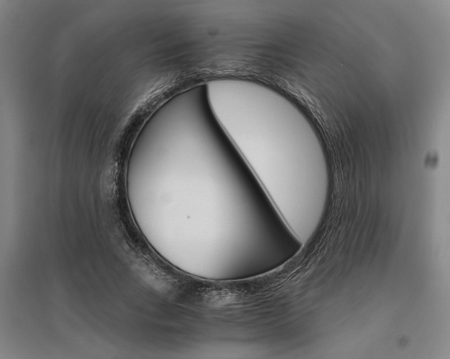 X0000095540735200712141023