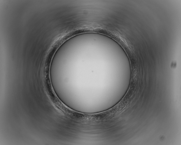 X0000095540736200712141023