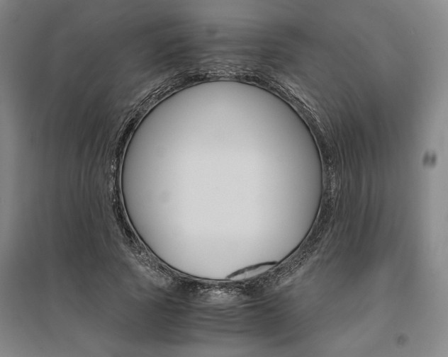 X0000095540737200712141023