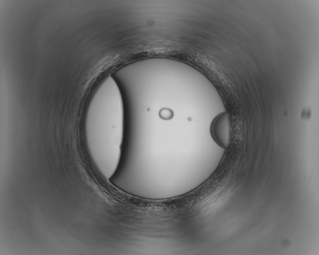 X0000095540738200712141023