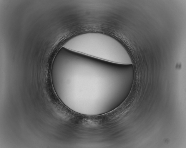 X0000095540739200712141023