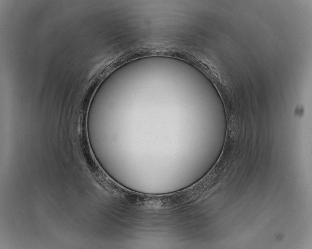 X0000095540740200712141023