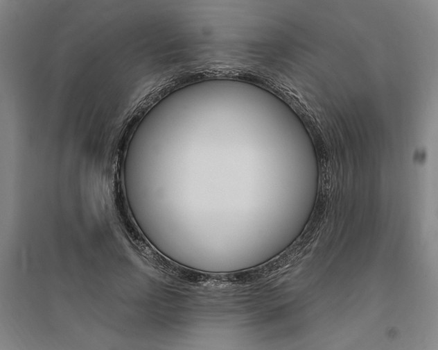 X0000095540742200712141023
