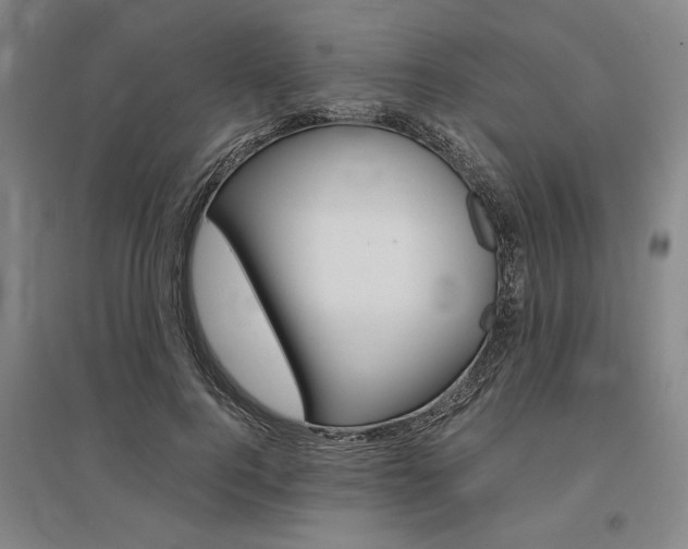 X0000095540744200712141023