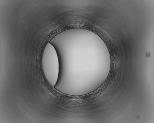 X0000095540745200712141023