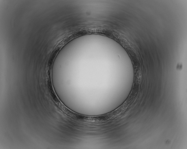 X0000095540746200712141023