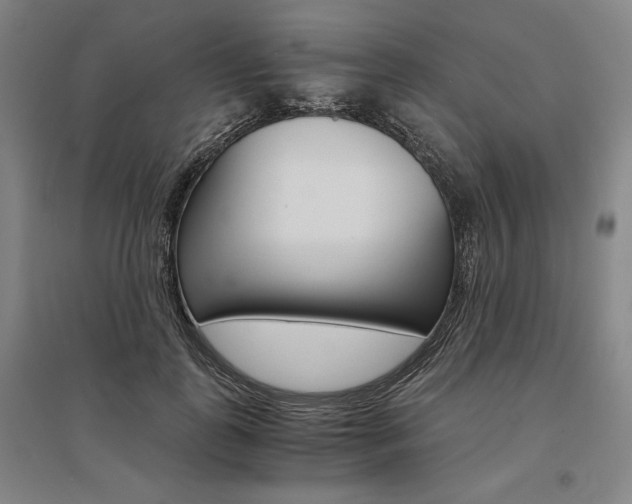 X0000095540747200712141023