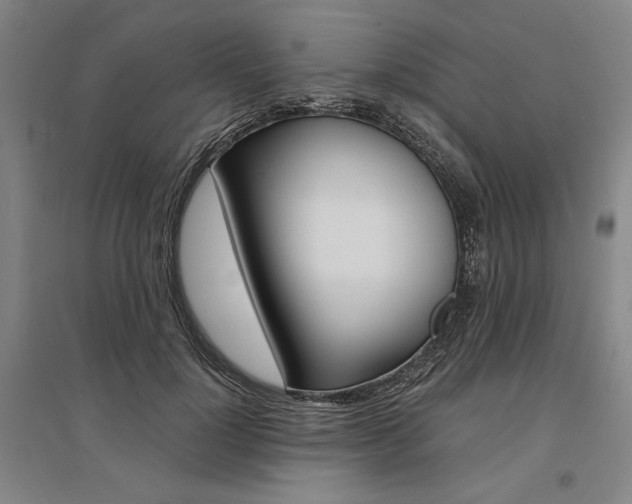 X0000095540748200712141023