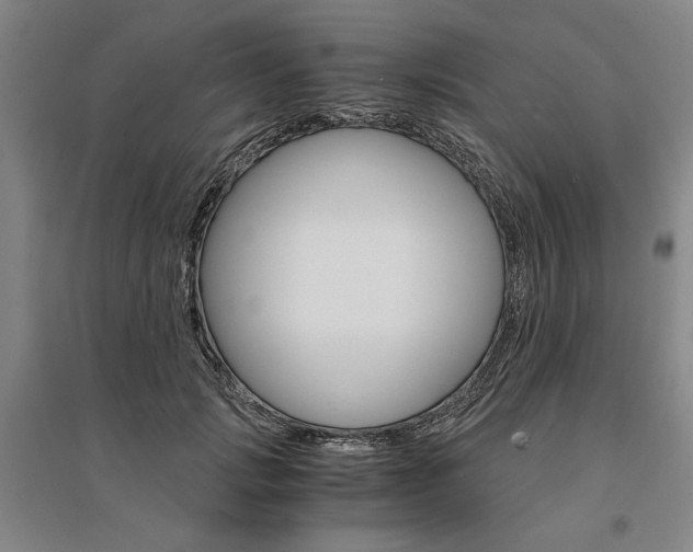 X0000095540749200712141023