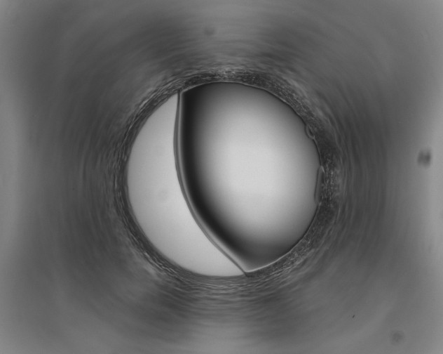 X0000095540750200712141023