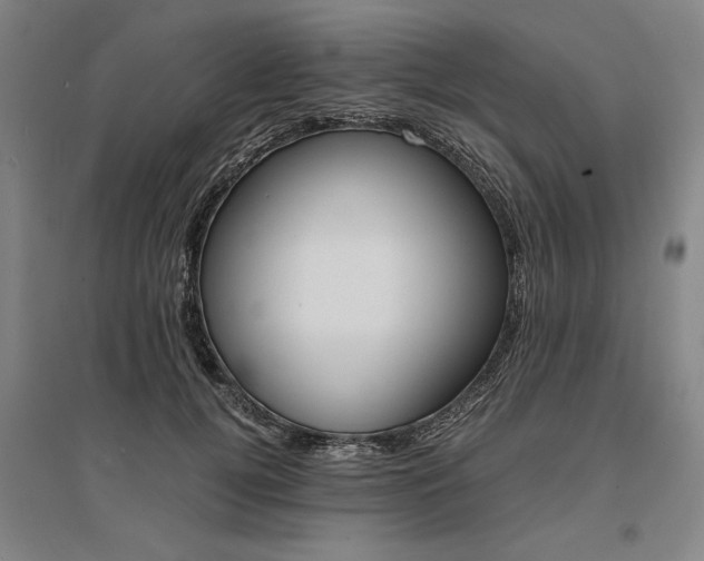X0000095540752200712141023