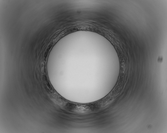 X0000095540753200712141023