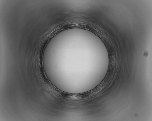 X0000095540754200712141023